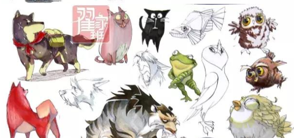 我在翟家的收获和感想嘿!!!【翟13的阿麦】