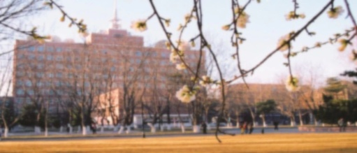 中国传媒大学2020年艺考改革,初试只考文史哲!