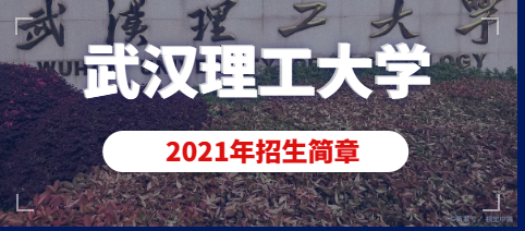 2021年武汉理工大学美术类(动画)专业招生简章